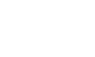 Vasoking de Mexico logo in white