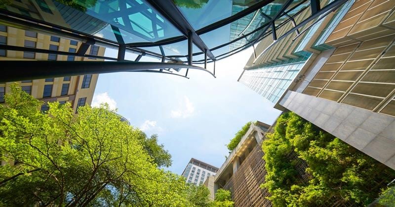 high rise commercial buildings with green trees